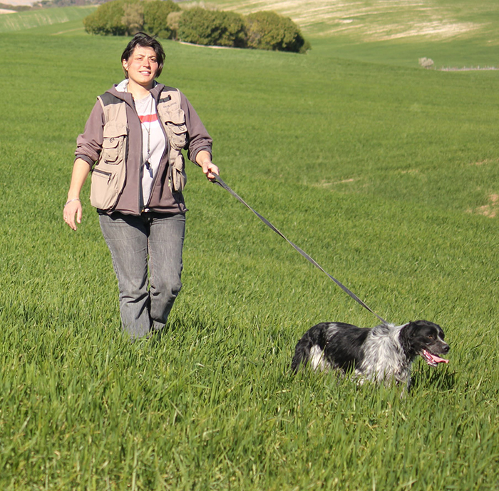 Pension canine & féline de confiance