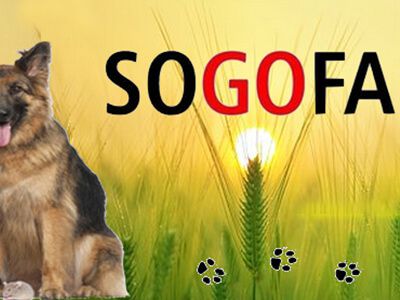 SOGOFA