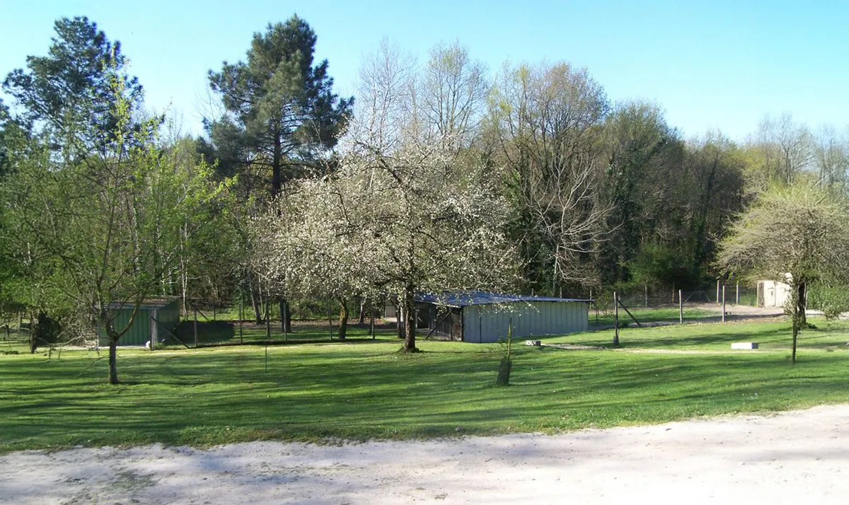 Le Clos Des Vickings Pension Canine Sainte Foy La Grande En Gironde 04