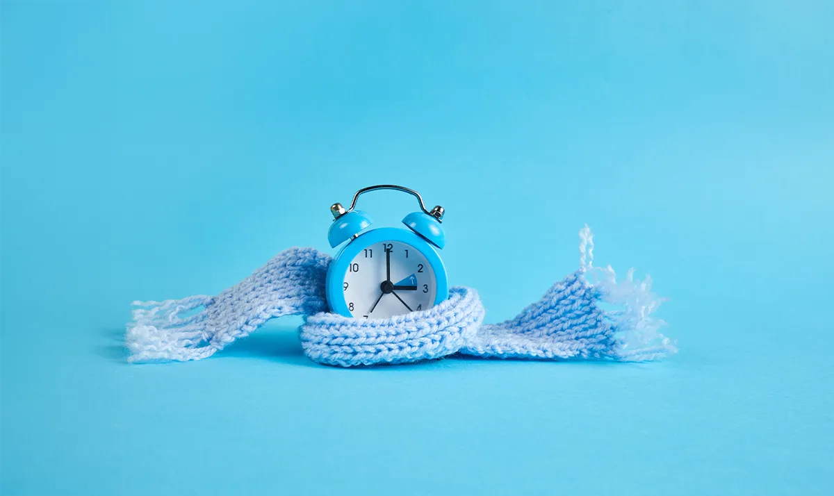 Le Clos Des Vickings Pension Canine Sainte Foy La Grande En Gironde 10