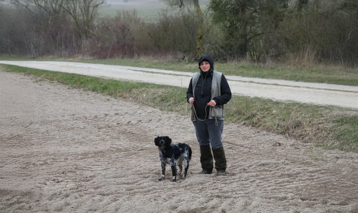 Le Clos Des Vickings Pension Canine Sainte Foy La Grande En Gironde 28
