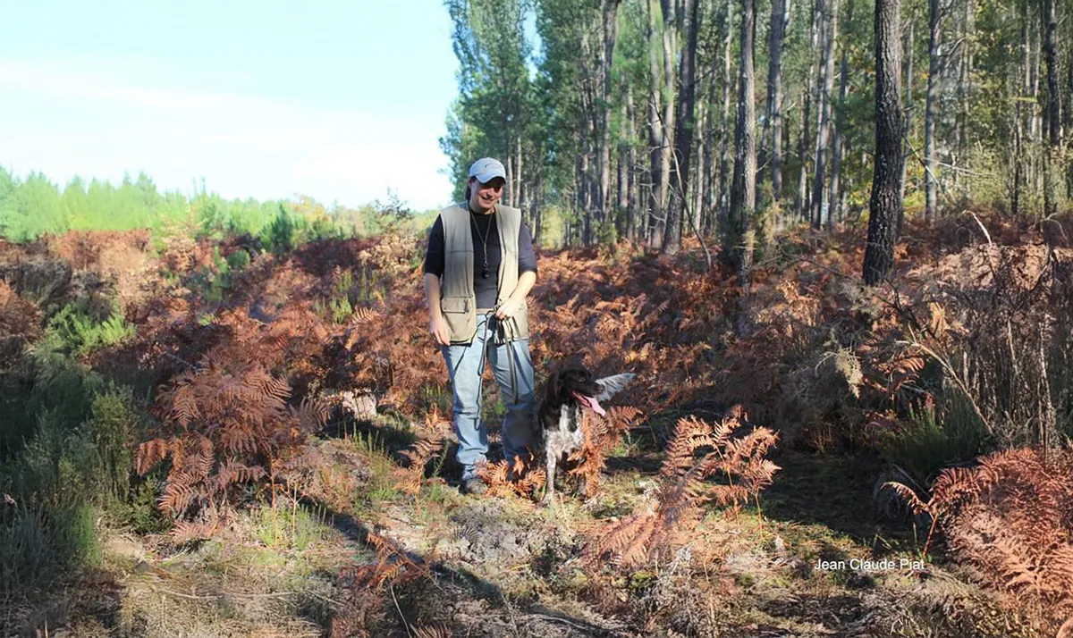 Le Clos Des Vickings Pension Canine Sainte Foy La Grande En Gironde 34