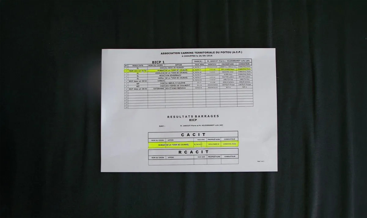 Le Clos Des Vickings Pension Canine Sainte Foy La Grande En Gironde 35