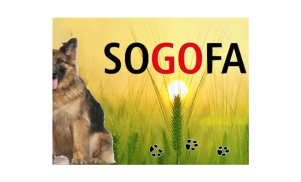 Le Clos Des Vickings Pension Canine Sainte Foy La Grande En Gironde Group 12