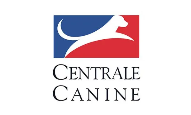 Le Clos Des Vickings Pension Canine Sainte Foy La Grande En Gironde Group 13