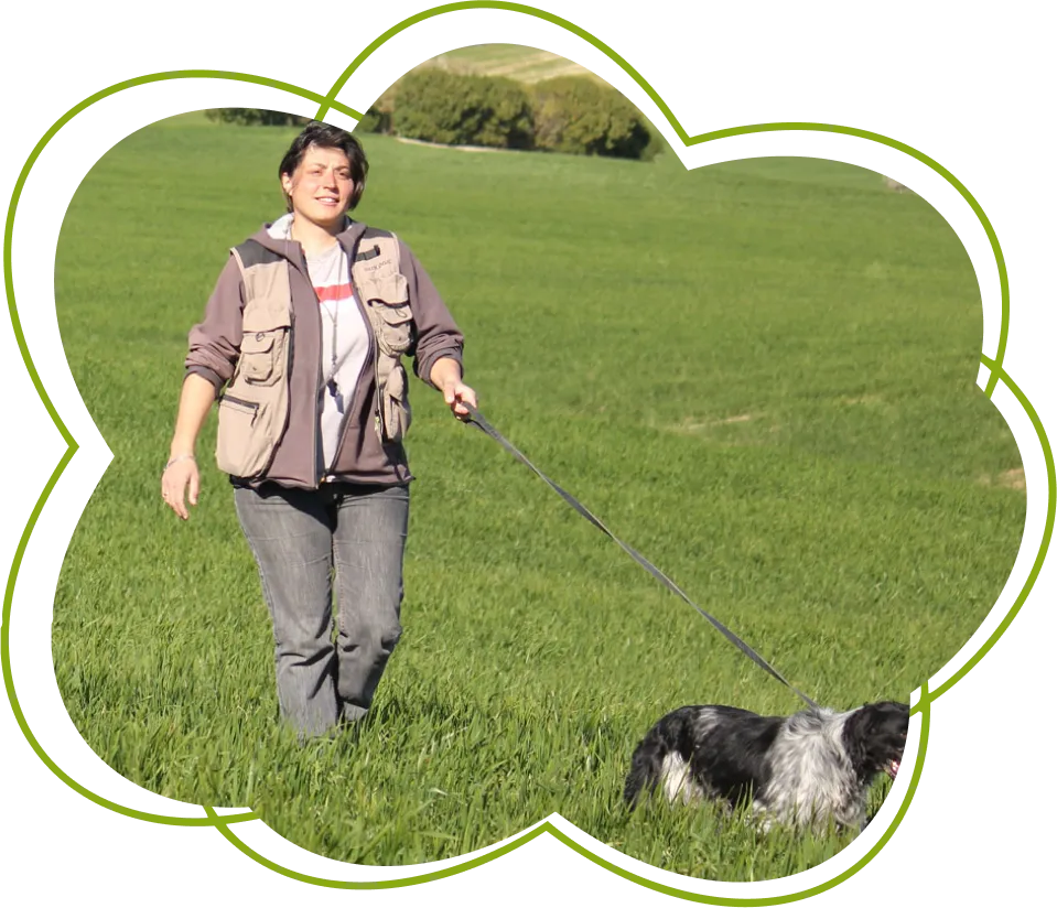 Le Clos Des Vickings Pension Canine Sainte Foy La Grande En Gironde Pension Canine A Saint Pierre DEyraud Pres De Sainte Foy La Grande En Gironde 1 1