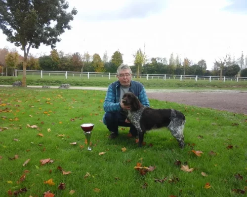 Le Clos Des Vickings Pension Canine Sainte Foy La Grande En Gironde 3 16